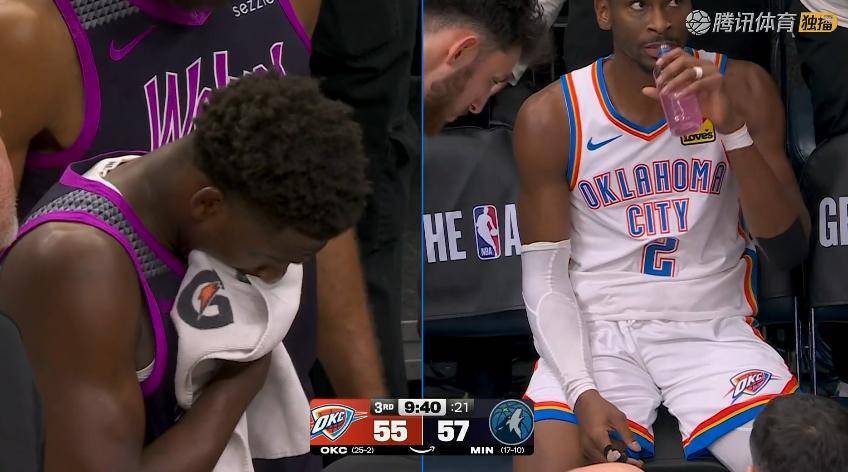 沙巴体育直播-森林狼队阵容